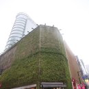 네이처리퍼블릭 카카오 검색결과