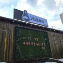 내일재래시장 | [아기랑 제주 한달살기 17일차] 고집돌우럭, 동문재래시장, 커피빈 제주