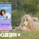 제일기획 이미지