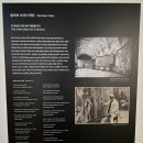 아르누보의 꽃: 알폰스 무하전 3.20~7.13 무하 스타일 우리가 아는 일본 순정만화의 시조