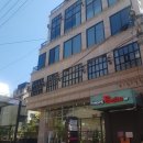 메디올타 | 파시노 미용실 두피관리 메디올샴푸