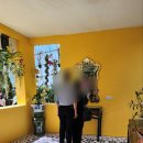 태진차유리 | [싱가포르] 가든스 바이 더 베이 – 플라워돔 &amp; 클라우드 포레스트 완벽 가이드 – 올리브나무 아래...