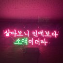 고니마켓 - 서구 | 고니마켓