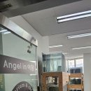 엔젤인어항 이미지