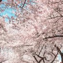 도자기(오전) 이미지