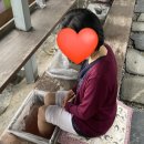 항노화힐링누리원 네이버블로그