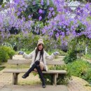 서울댄스스포츠학원 이미지