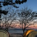 쉼이있는자유 이미지