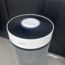 한국체대 제일 태권도장 이미지