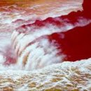 생명의 소리 이미지