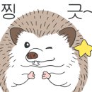 와우펫앤쥬 양산점 이미지