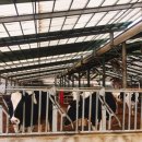 현승목장 이미지