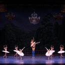 대구경북발레페스티벌 이미지