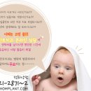 고고크라운 이미지