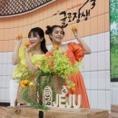 KT하우스