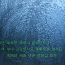 2026 丙午年 새해 福 많이 받으세요(Happy New bok to 2026 byeongo) 이미지