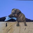 철암탄광역사촌 이미지