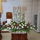 하선농장 이미지