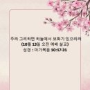 보화 이미지