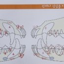 말티스토리 이미지