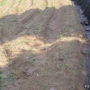 양심농장 이미지