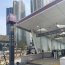 (유)자유에너지 | 더글로우 2026 후기 ㅣ 송소희, 바밍타이거, 혁오 등