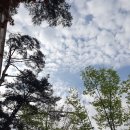 세븐일레븐 부천시청점 | 부천시청역마사지는 더풋샵 부천시청점 마사지 굿