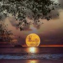 스타당구장 이미지