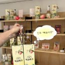 (주)에치와이서진주점 | “진주 복숭아주” 쇼룸 방문 후기｜시음부터 구매까지 가능한 진주 특산주