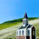 나라애견 이미지