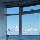 영진을 담다 이미지