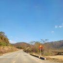 진안 hami숲 이미지