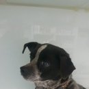 마리농장 이미지