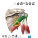 이시우 프로 ㅡ 효율적인 임팩동작, 대원근과 소원근 이미지