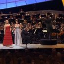 바덴(Baden) 이미지