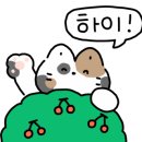 몽산포몽글몽글 이미지