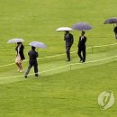 정*영 이미지