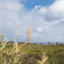 돌섬민박 이미지