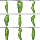 HOKKAIDO LINKS COUNTRY CLUB[일본 북해도] 이미지