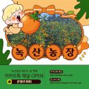 녹산농장 네이버블로그