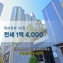 한라동백@ 이미지