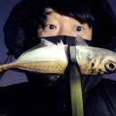 로드 572 | 전갱이 루어낚시 입문용 채비 코르토UX 572UL 테스트 후기