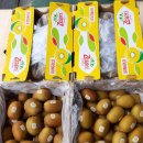 (주)골드레몬 이미지