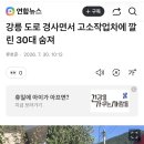 고소작업차 밀림 사고_호룡서울 이미지