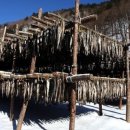 창일민박 이미지