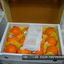 황금향