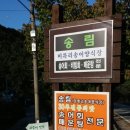 송림투어