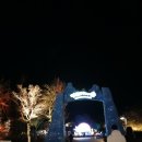 판도라의 숲 이미지