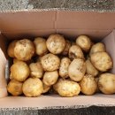 선희농장 이미지