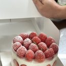 대강의실 | 보라매 딸기케이크 맛집"써터커피"대강추후기!